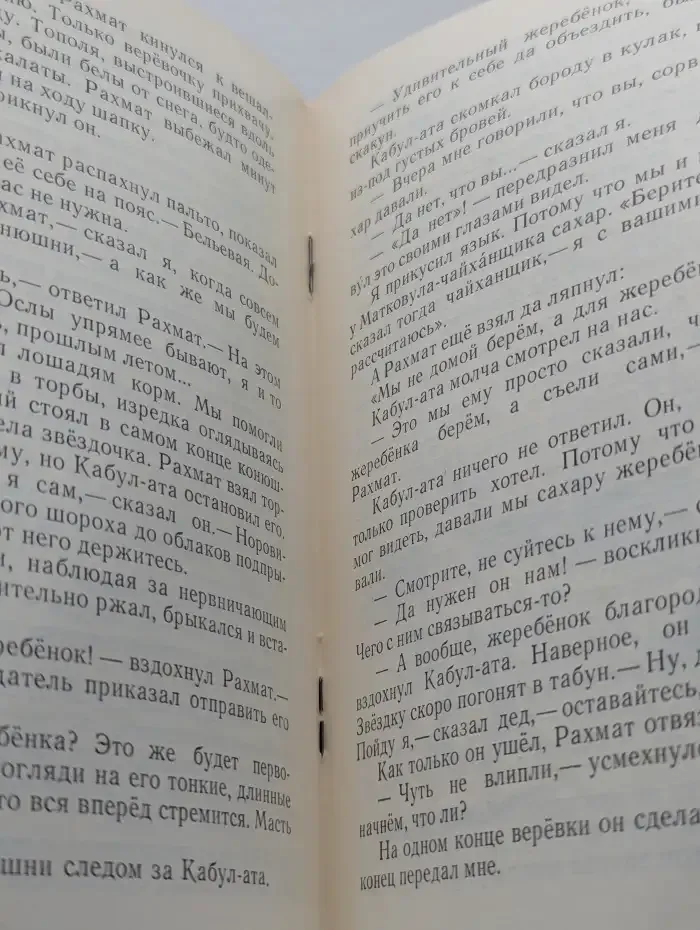 Беркут