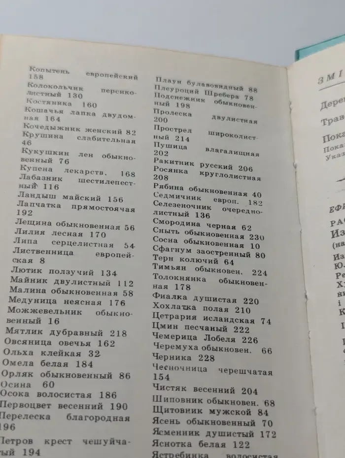 Растения наших лесов