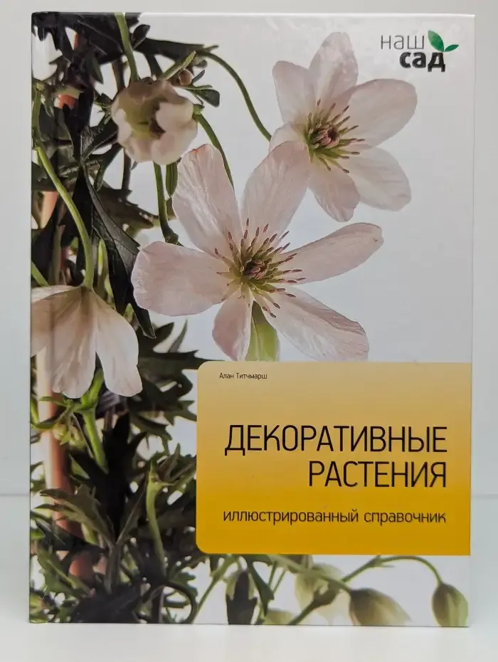 Декоративные растения