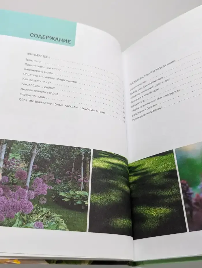 Сад на сложном участке