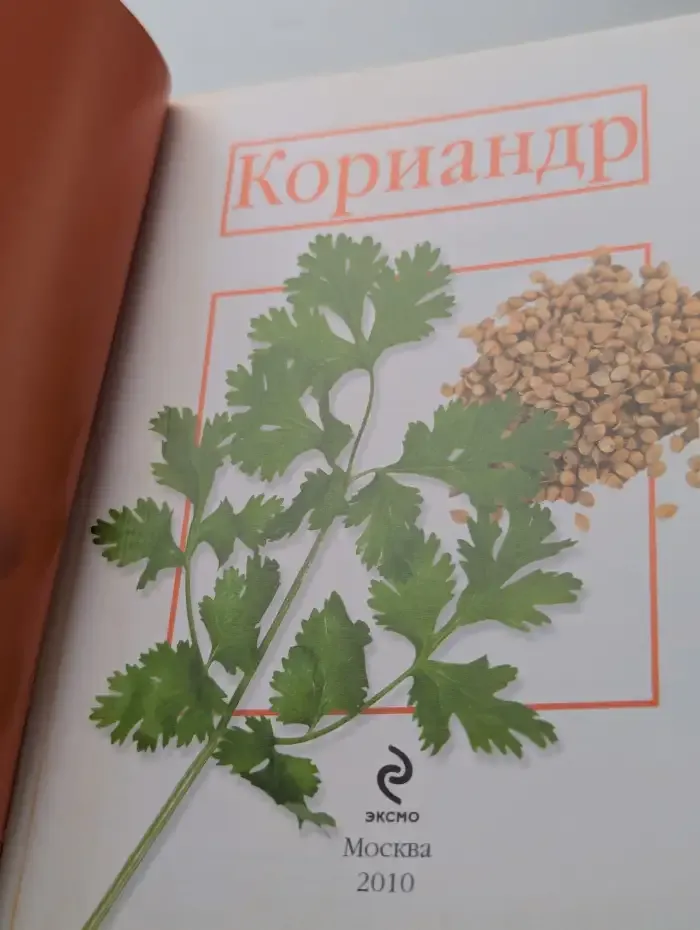 Кориандр. Базилик
