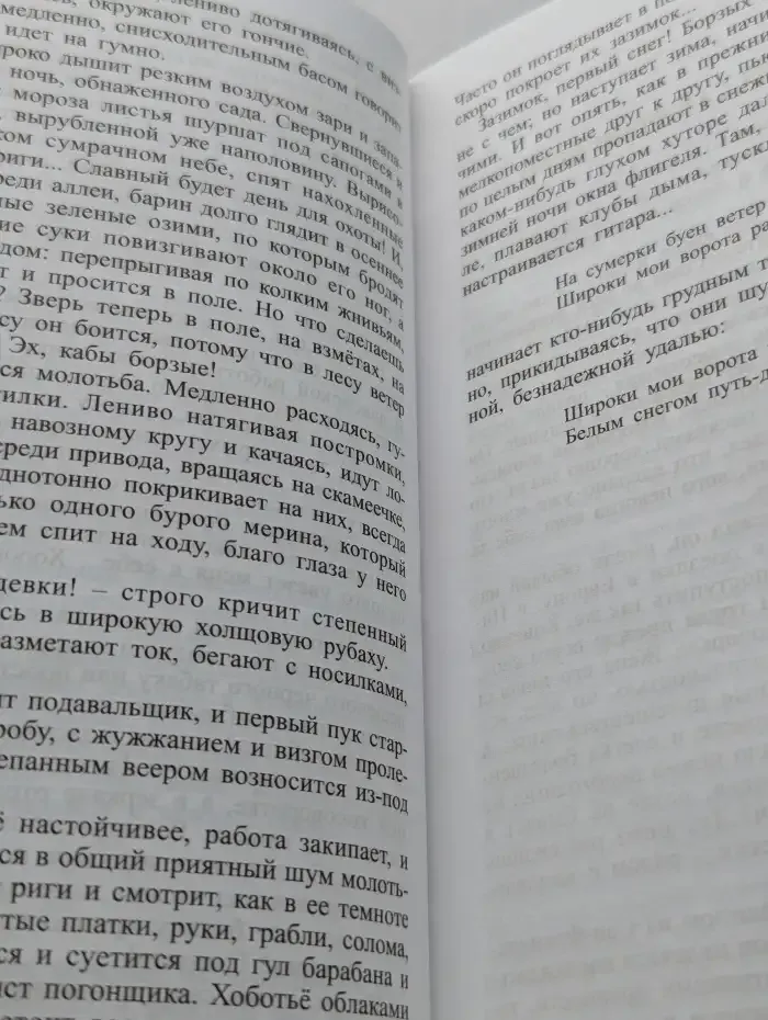 Тёмные аллеи