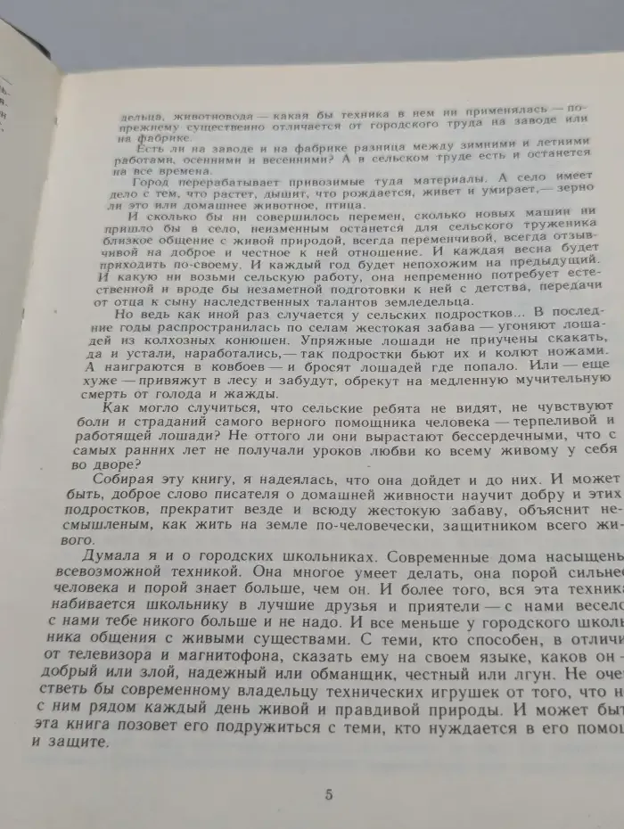 Сельский двор