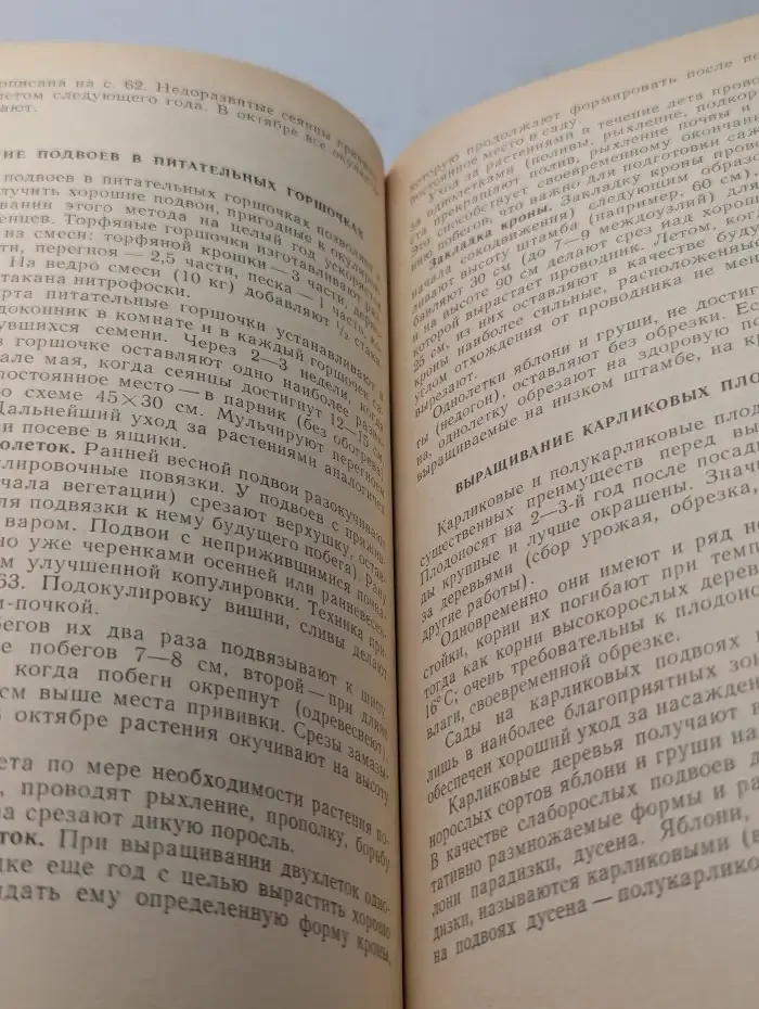 Приусадебный сад