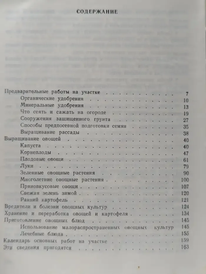 Овощи на грядке и на столе