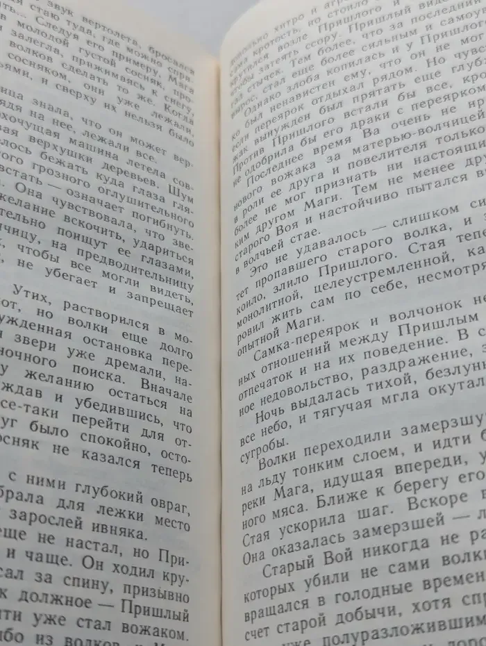 Мaга уводит стаю