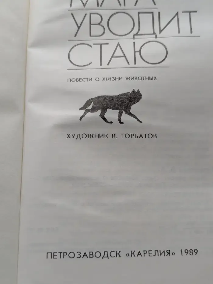 Мaга уводит стаю