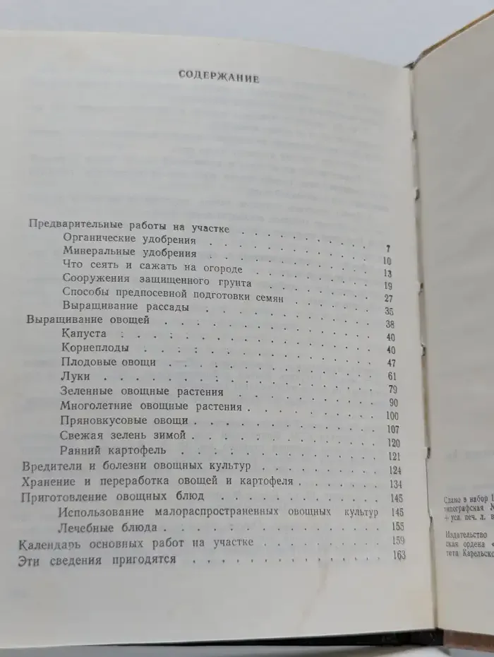 Овощи на грядке и на столе