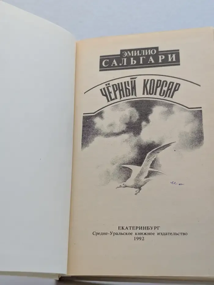 Черный корсар
