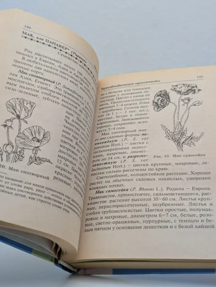 Цветы у дома: Красивоцветущие однолетники