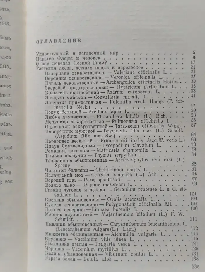 Зеленая аптека