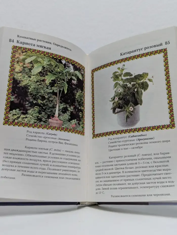 Комнатные растения. Определитель