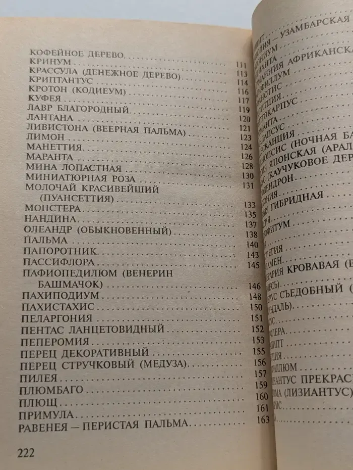 Любимые домашние цветы
