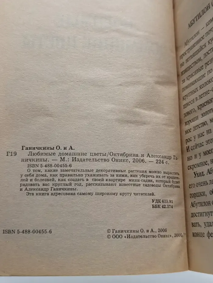 Любимые домашние цветы