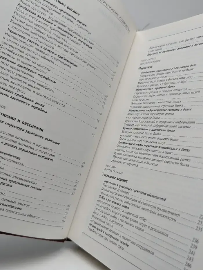 Банковское дело. Стратегическое руководство