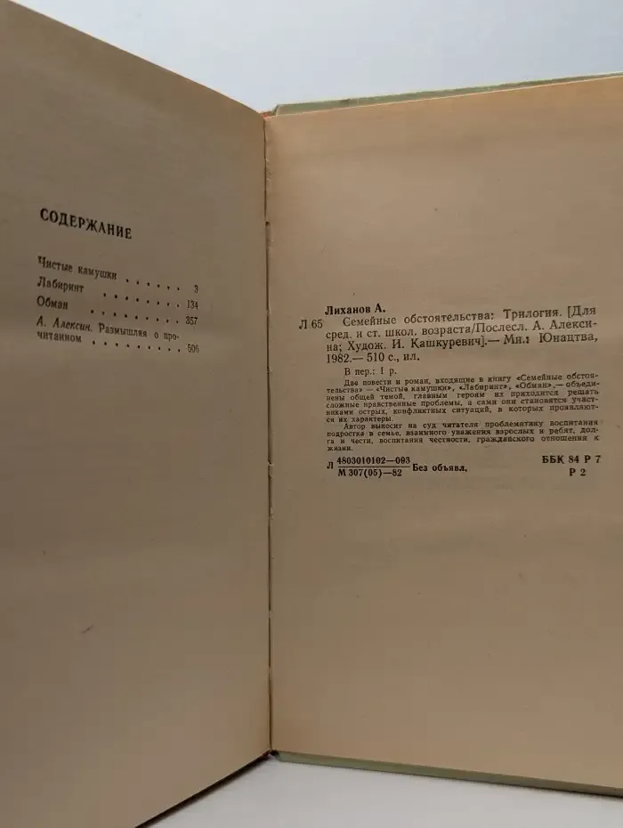 Семейные обстоятельства