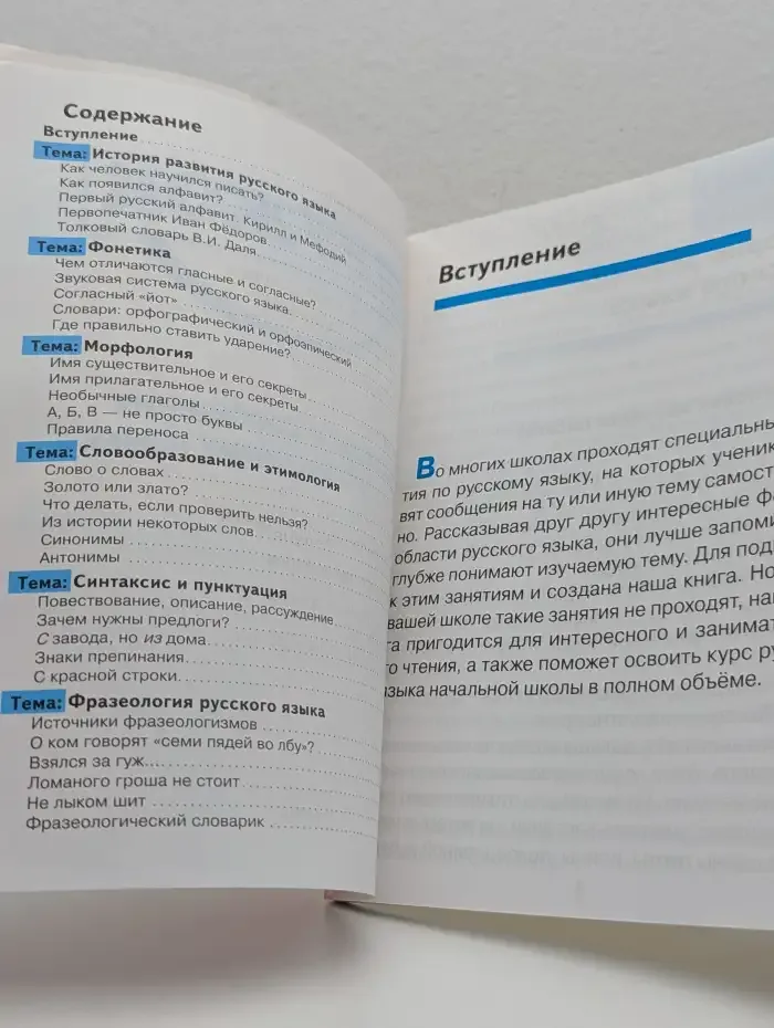 Дружок. Доклады и сообщения по русскому языку. Для начальных классов