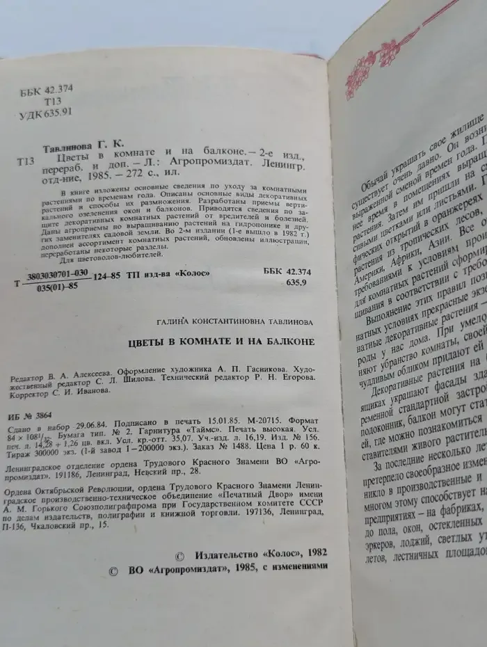 Цветы в комнате и на балконе