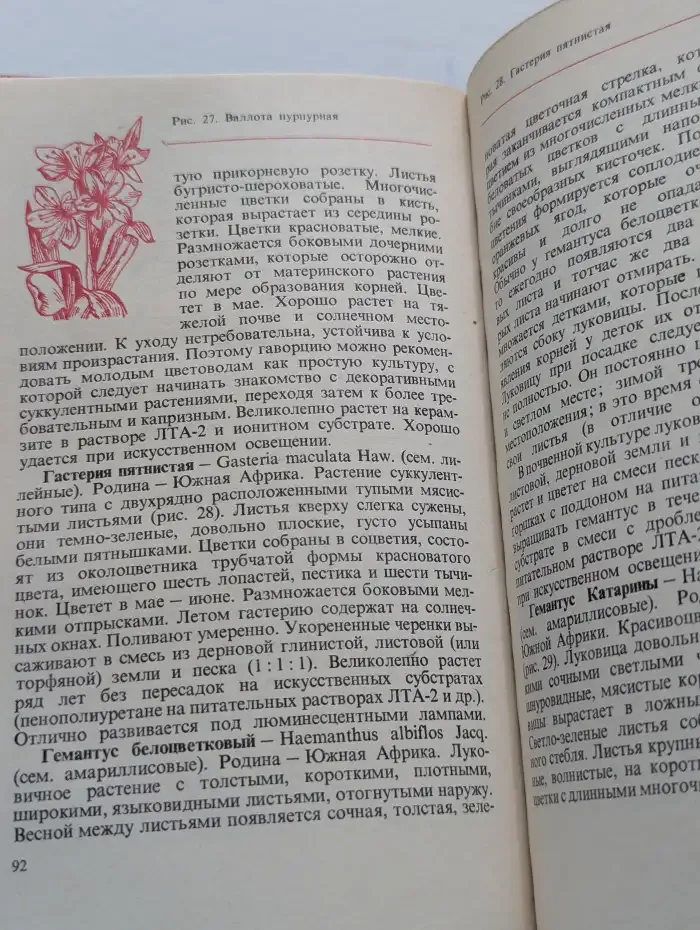 Цветы в комнате и на балконе