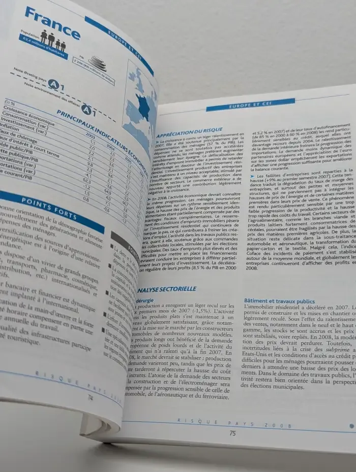Guide Risque Pays 2008