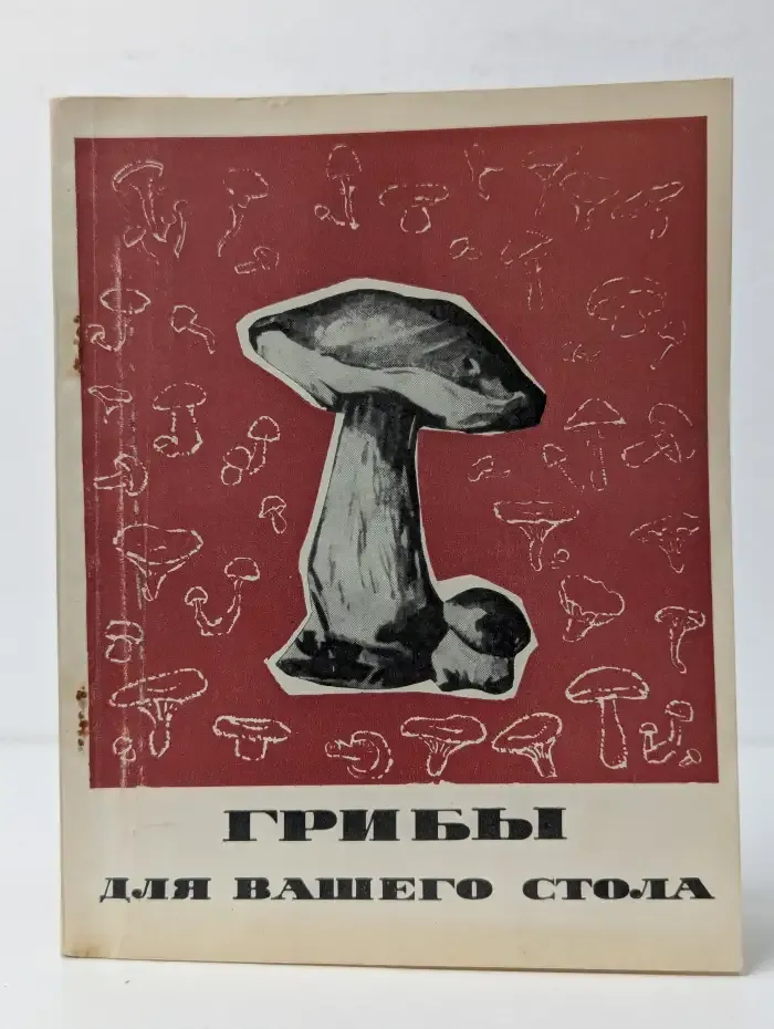 Грибы для вашего стола