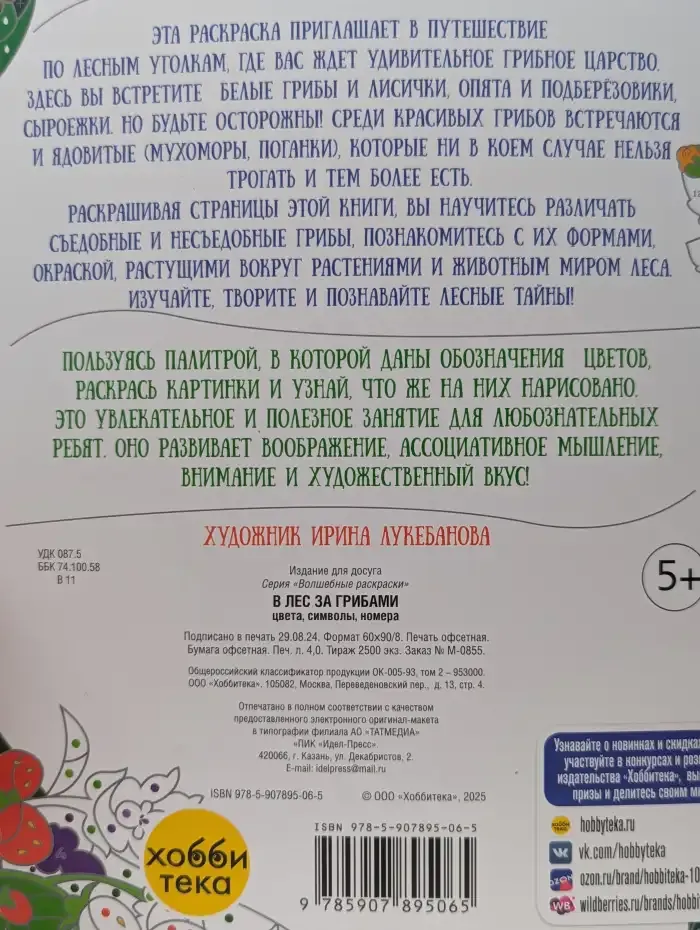 Книга-раскраска. В лес за грибами. Цвета, символы, номера
