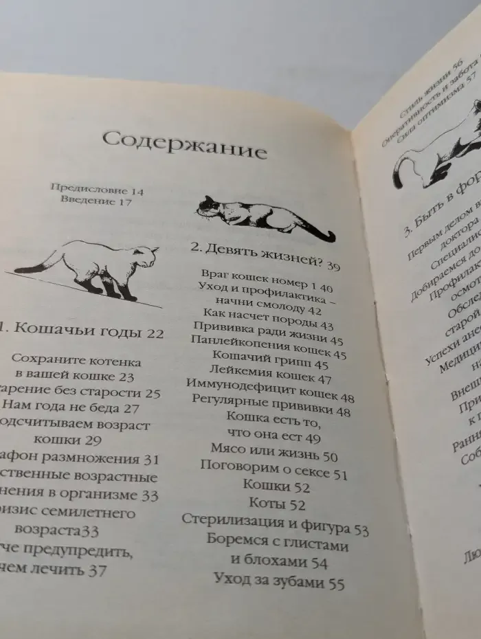 9 жизней кошки. Как сделать жизнь вашей кошки долгой, здоровой и счастливой