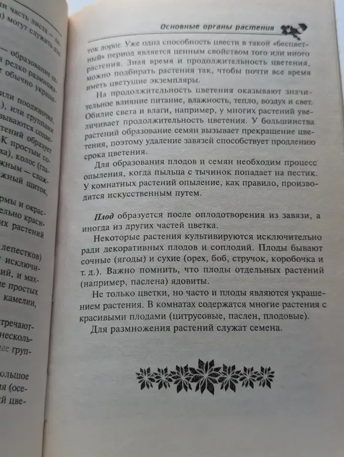 Комнатные растения