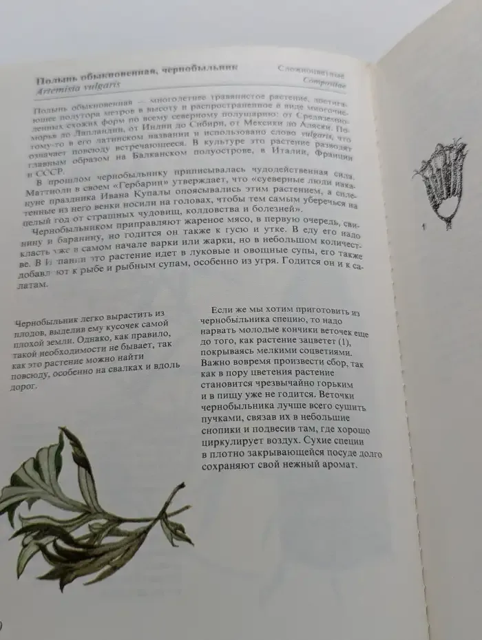 Специи и пряности