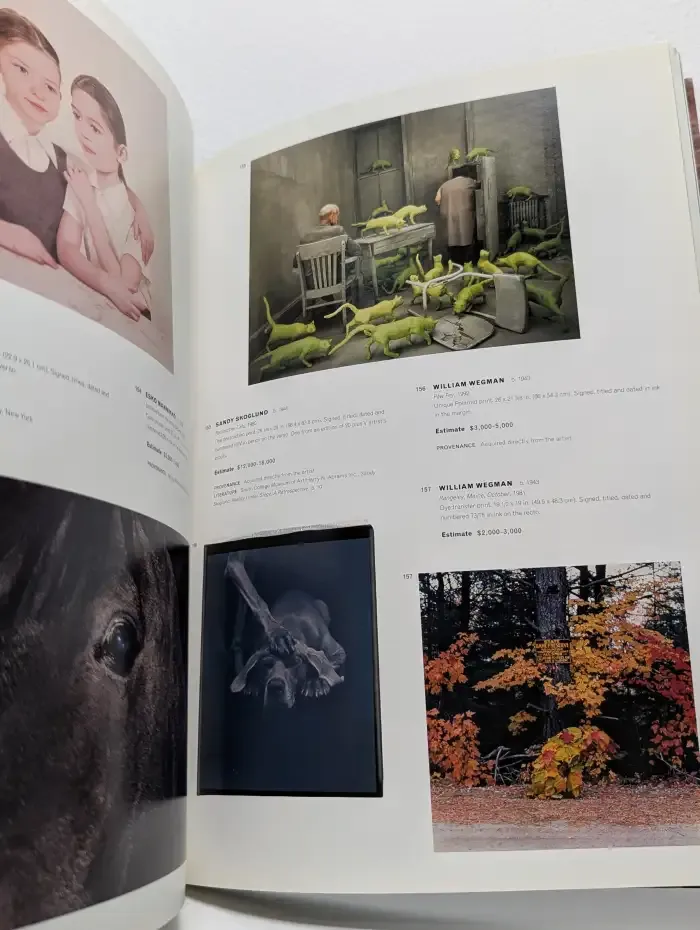 Phillips de Pury & Company. Photographs