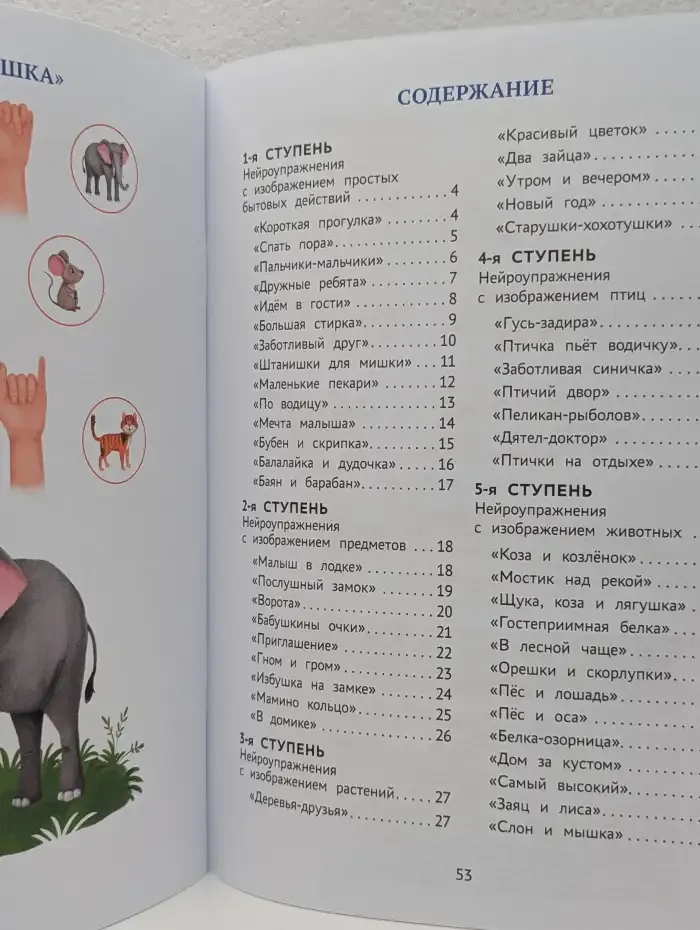 Нейроупражнения для развития речи у дошкольников. Активизация словаря, мелкой моторики