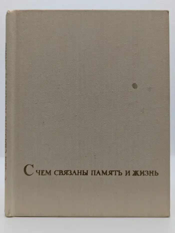 С чем связаны память и жизнь