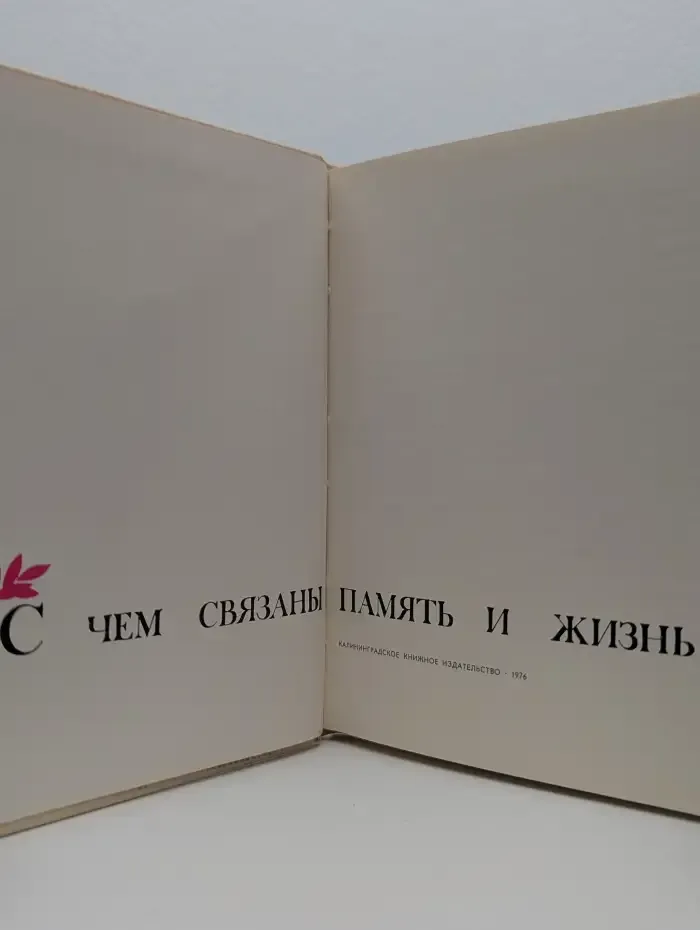 С чем связаны память и жизнь