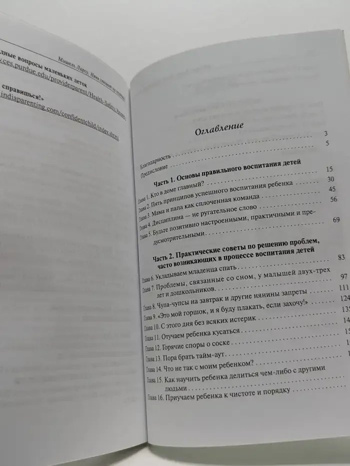 Няня спешит на помощь!