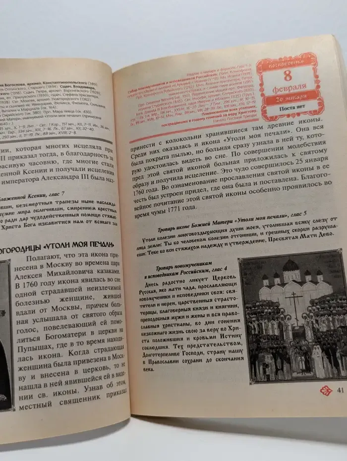 Целители небесные. Православный календарь на 2009 год