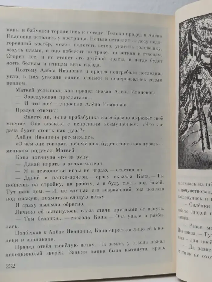 Вот такие приключения
