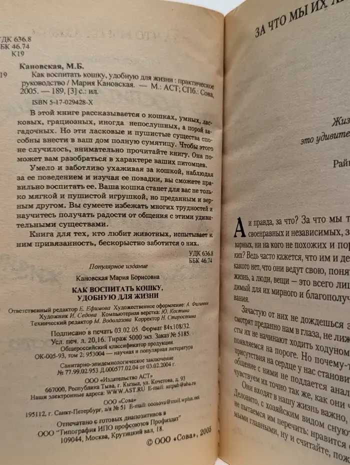 Как воспитать кошку, удобную для жизни