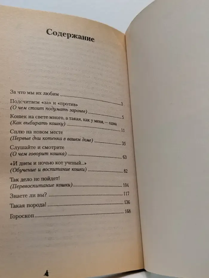 Как воспитать кошку, удобную для жизни