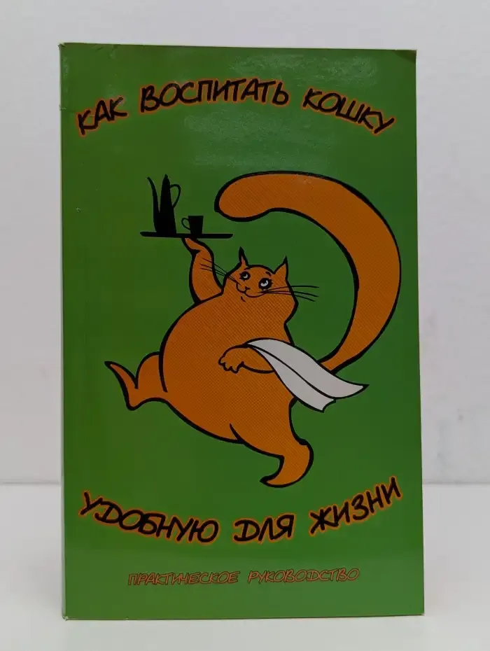 Как воспитать кошку, удобную для жизни
