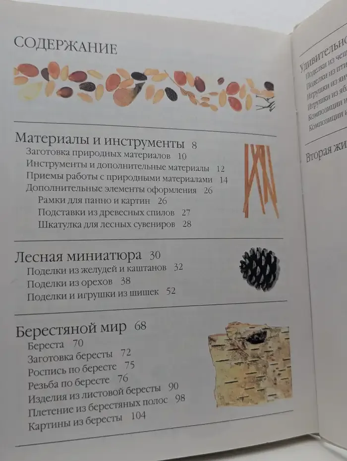 Поделки из природных материалов