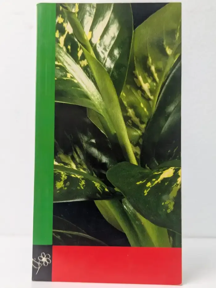 Plantes en pot