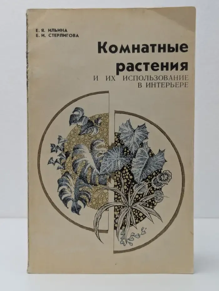 Комнатные растения и их использование в интерьере