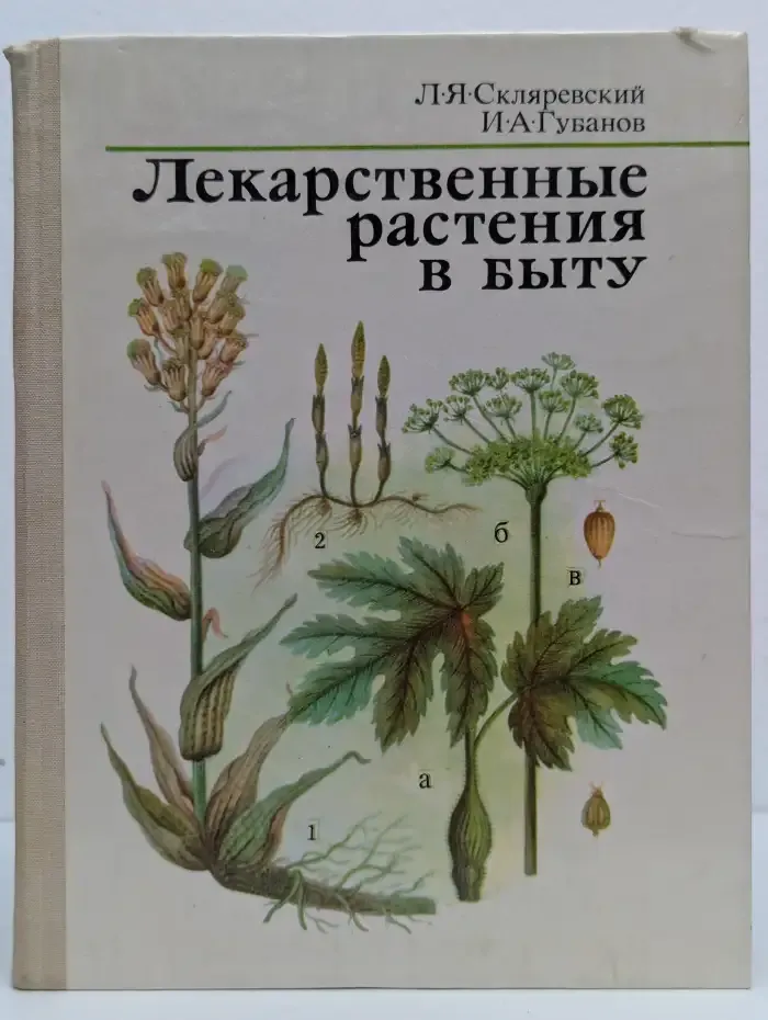 Лекарственные растения в быту
