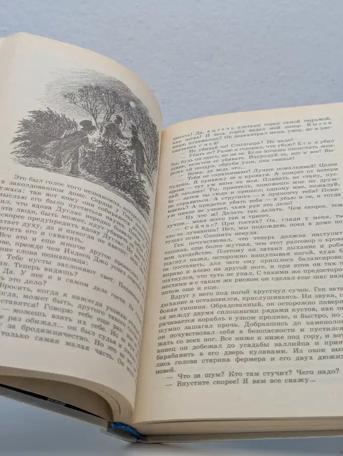 Приключения Тома Сойера и Гекльберри Финна