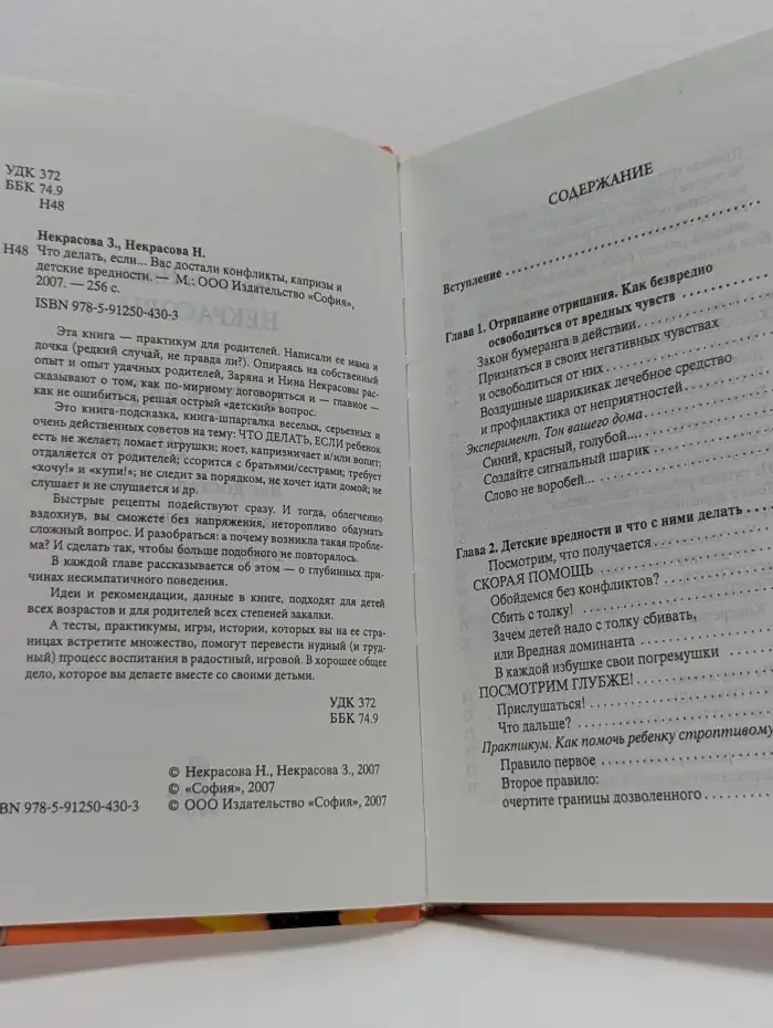 Что делать, если... Вас достали конфликты, капризы и детские вредности