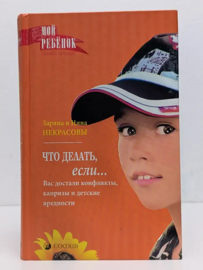 Что делать, если... Вас достали конфликты, капризы и детские вредности