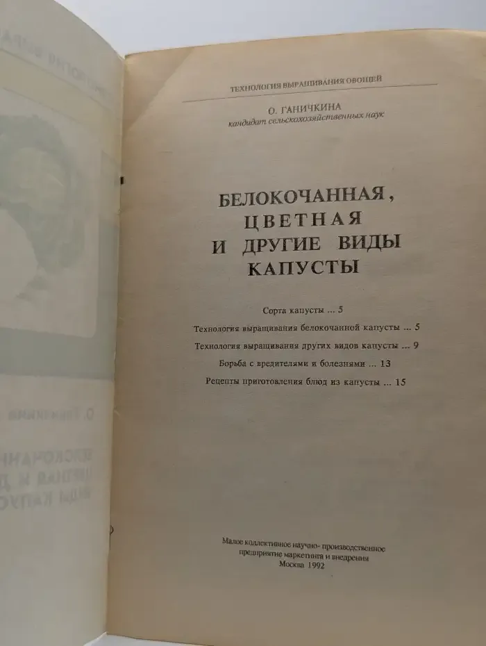 Белокачанная, цветная и другие виды капусты