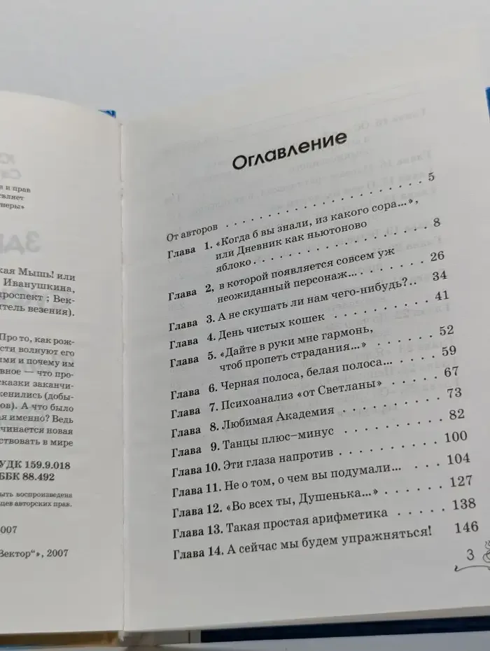 Здравствуйте, Наивная Суфийская Мышь! или Вот тебе и ремонт