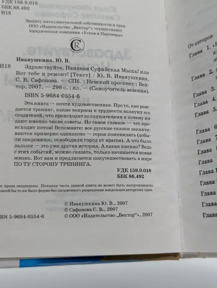 Здравствуйте, Наивная Суфийская Мышь! или Вот тебе и ремонт