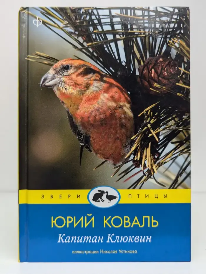 Капитан Клюквин